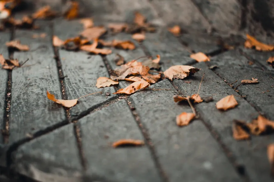 Blog - Ab unter die Erde - Bestattungen Berlin