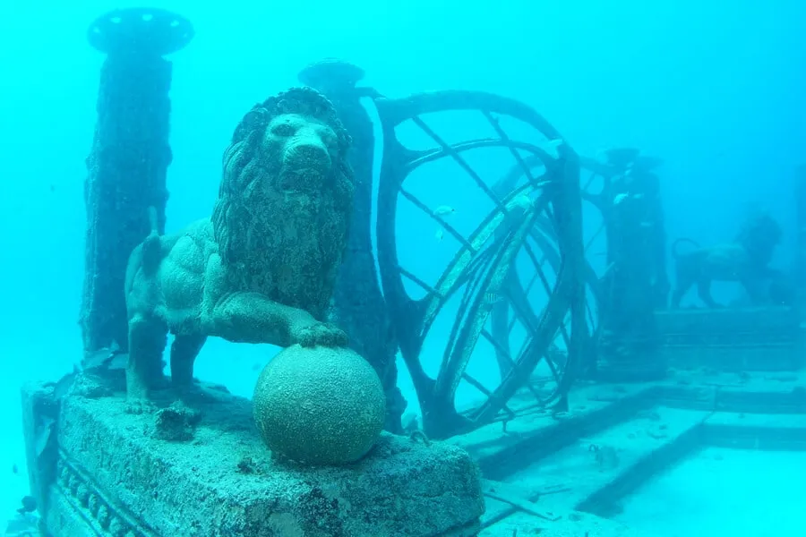 Blog - Ab unter die Erde - Bestattungen Berlin