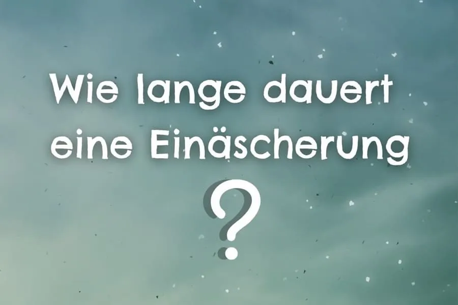 Blog - Ab unter die Erde - Bestattungen Berlin