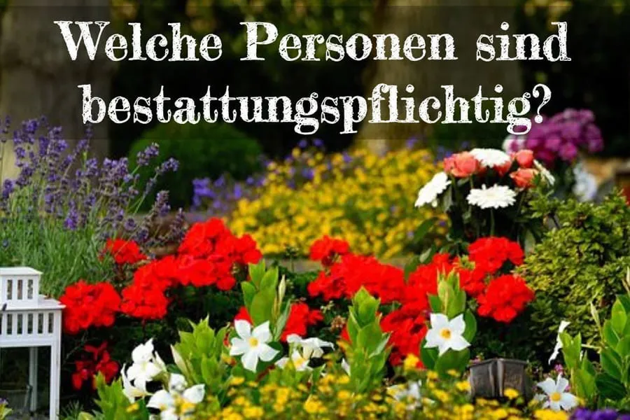 Blog - Ab unter die Erde - Bestattungen Berlin