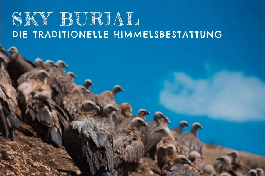 Blog - Ab unter die Erde - Bestattungen Berlin