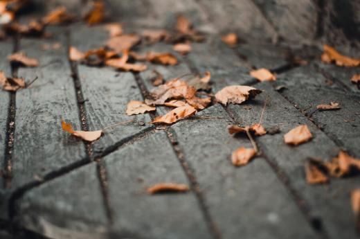 Blog - Ab unter die Erde - Bestattungen Berlin