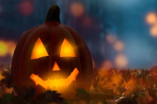 Blog - Ab unter die Erde - Bestattungen Berlin