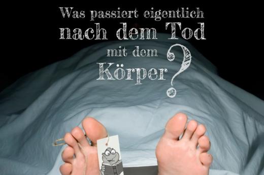 Blog - Ab unter die Erde - Bestattungen Berlin