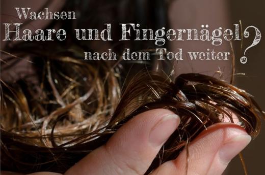 Blog - Ab unter die Erde - Bestattungen Berlin