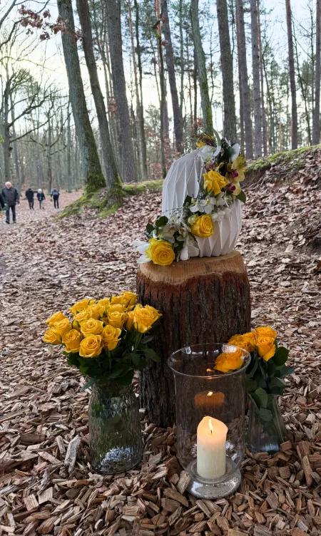 Waldbestattung und Baumbestattung, Ab unter die Erde Bestattungen Berlin